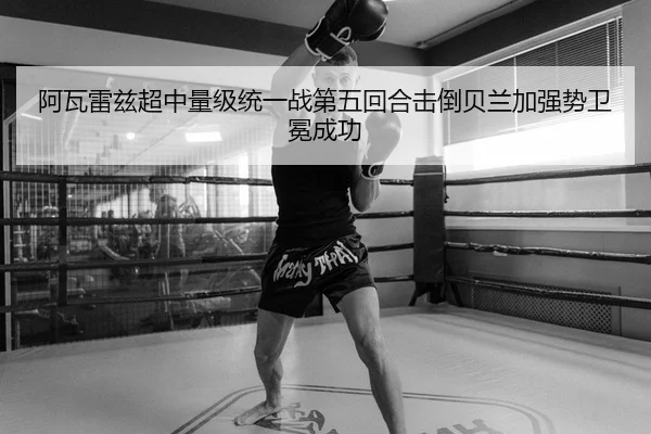 a-wa-lei-zi-chao-zhong-liang-ji-tong-yi-zhan-di-wu-hui-he-ji-dao-bei-lan-jia-qiang-shi-wei-mian-cheng-gong-2-130.jpg